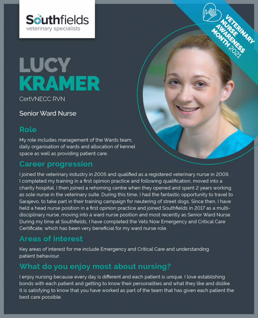 Veterinary Nursing at Southfields Veterinary Specialists