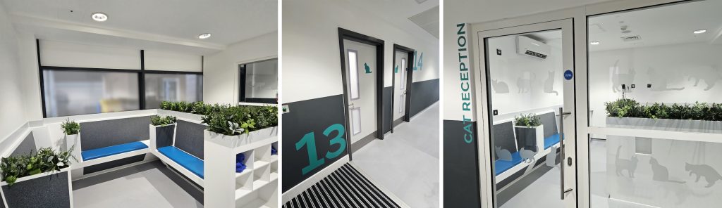 Separate reception and dedicated consultant rooms for feline patients visiting Southfields Veterinary Specialists.