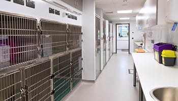 south oncology and radiology suite
