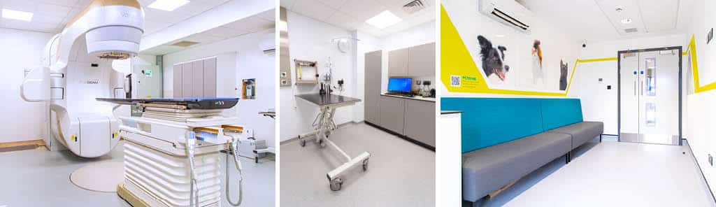New Oncology and Radiotherapy Suite at Southfields Veterinary Specialists offers advanced cancer treatments for small animals