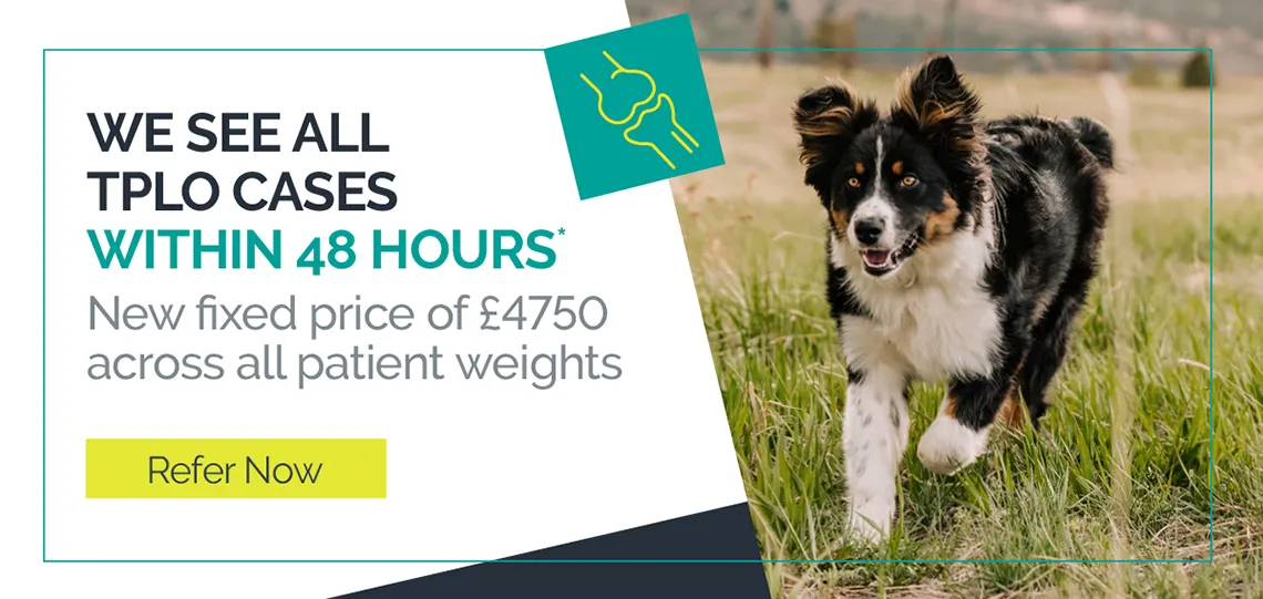 We see all TPLO cases within 48 hours, refer now
